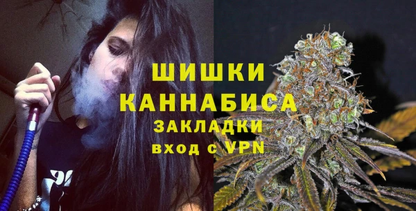 дмт Осинники