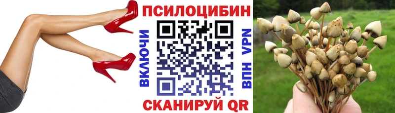 Галлюциногенные грибы MAGIC MUSHROOMS  сколько стоит  Самара 