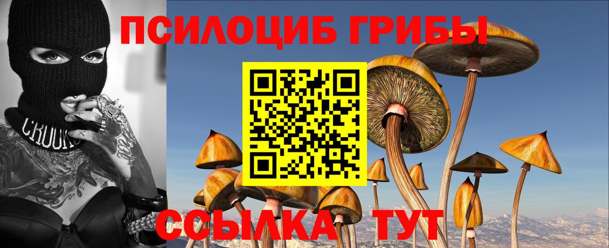 Самара  Псилоцибиновые грибы GOLDEN TEACHER  как найти закладки  Псилоцибиновые грибы MAGIC MUSHROOMS  Вход с VPN 