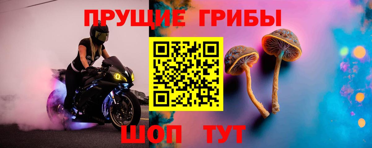 Псилоцибиновые грибы Magic Shrooms Самара